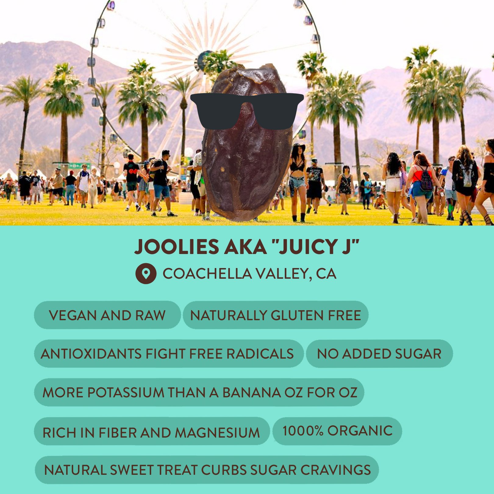 Date Syrup V. Molasses